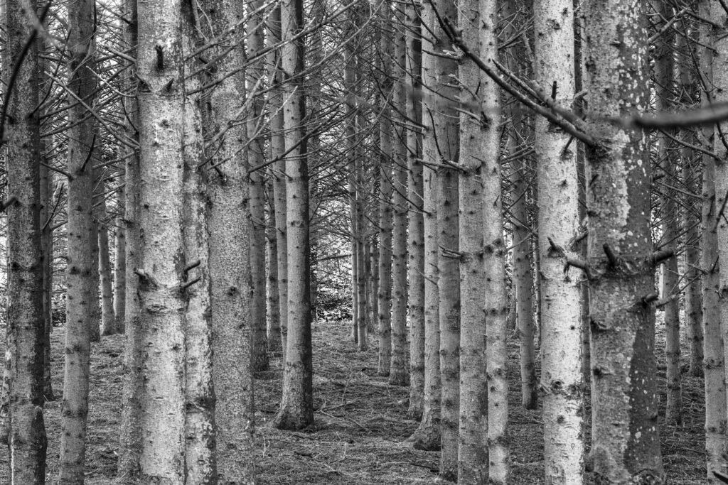 Landschap zonder aandachtspunt